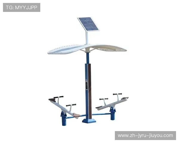 阳光下的力量之源室外健身设备全解析